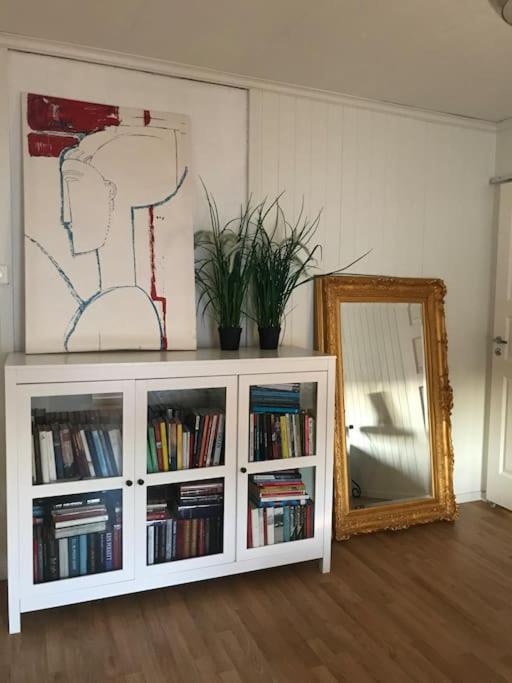Stort Hus I Porsgrunn Sentrum Med Gangavstand Til "Alt" & Gratis Parkering Til Flere Biler Exterior foto