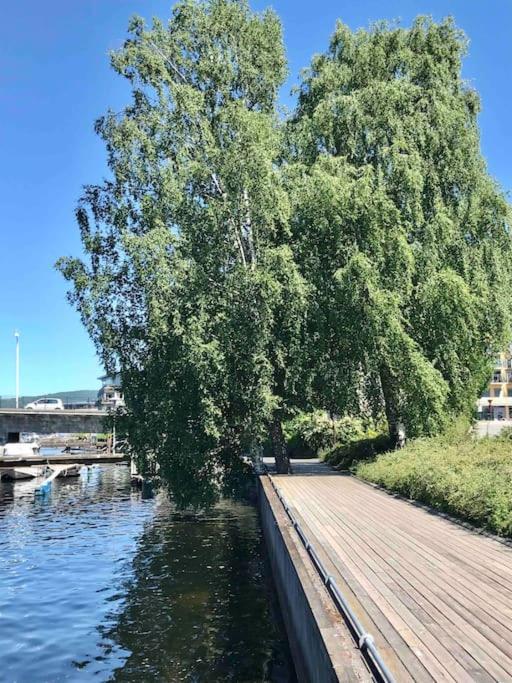 Stort Hus I Porsgrunn Sentrum Med Gangavstand Til "Alt" & Gratis Parkering Til Flere Biler Exterior foto
